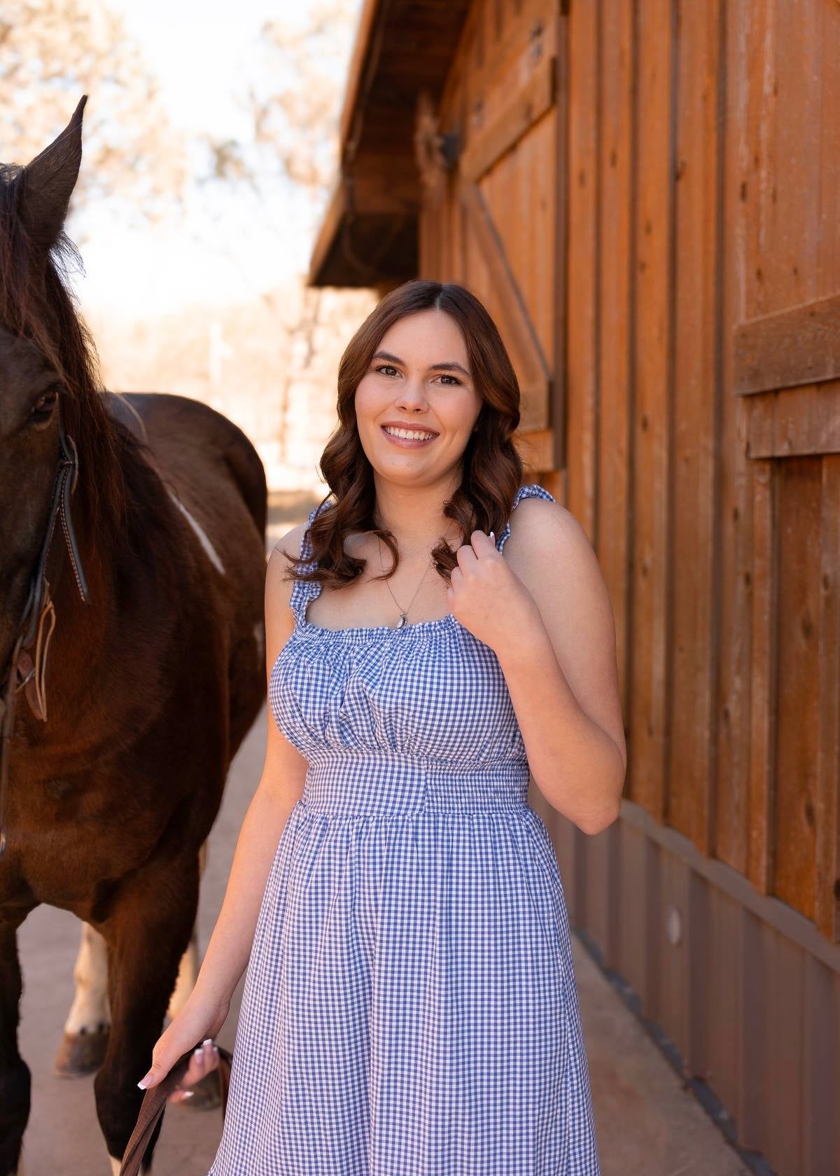 The Sadie Gingham Midi