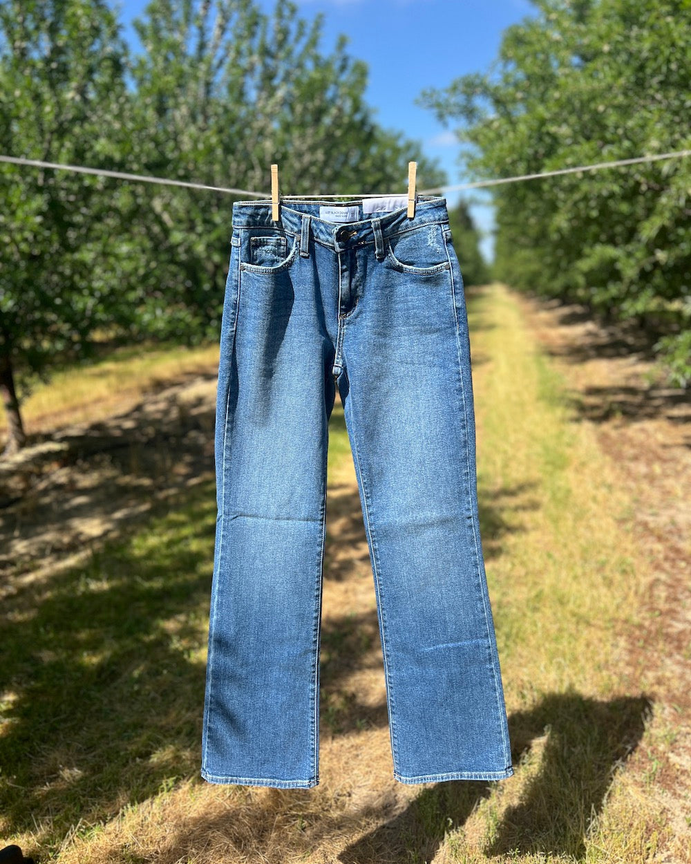 Sutton Jeans